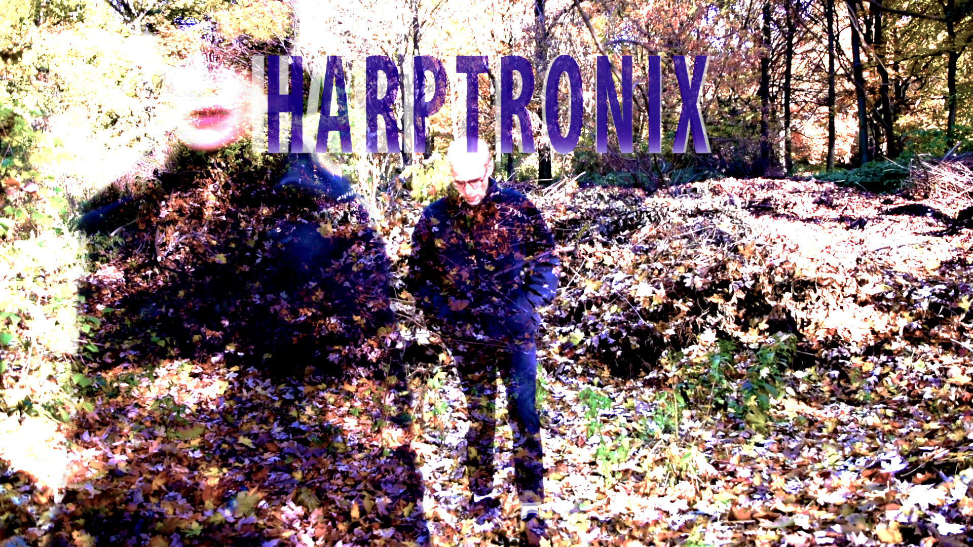 HARPTRONIX - Harfe und DJ 