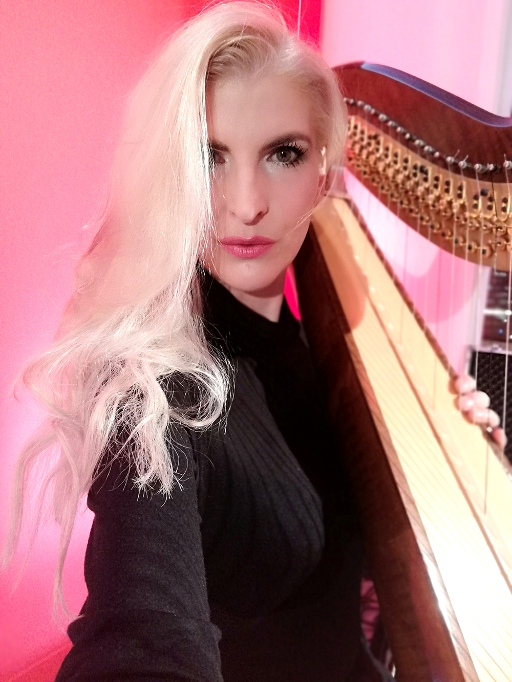 harp music in berlin, harp music hotel, harfenistin, harfinistin, harfistin