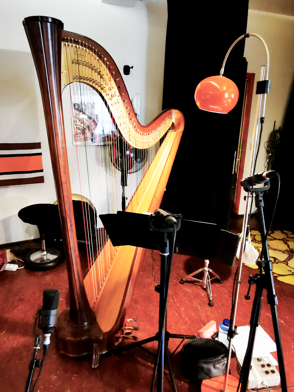 harpist , harpist berlin, harp in berlin , harpist berlin , tonstudio , tonaufnahme